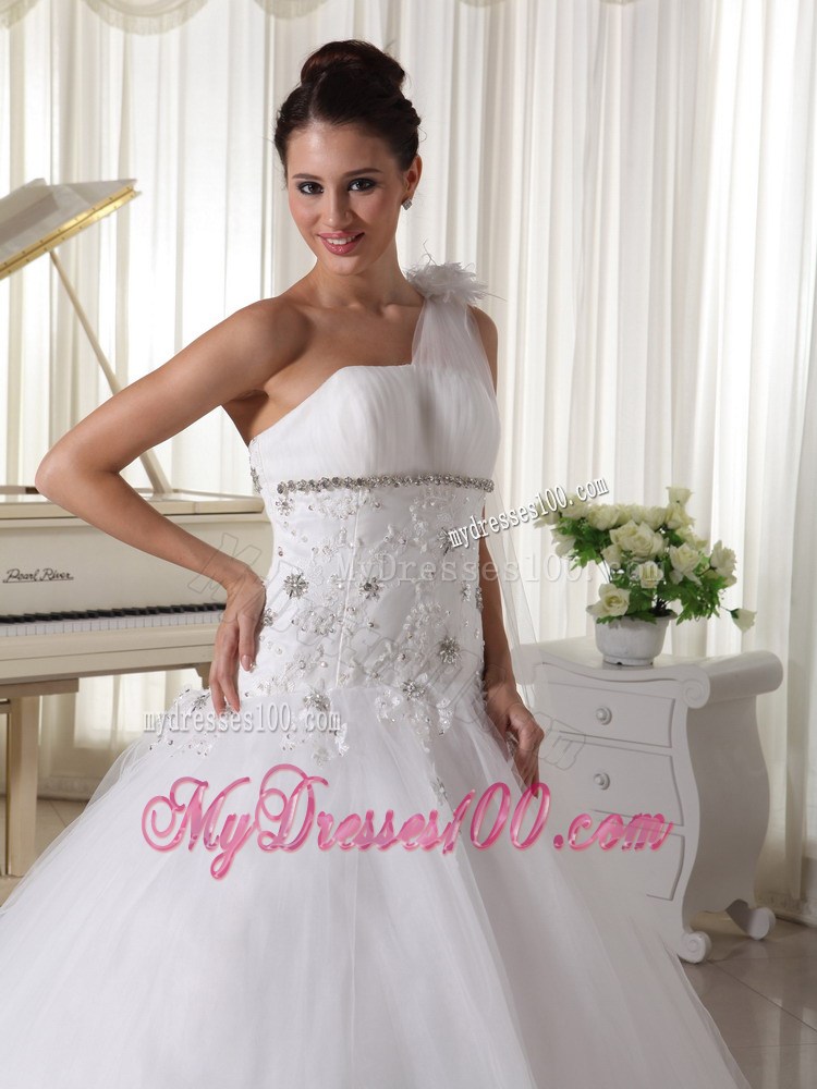 One Shoulder Princess Wedding Dresses with Appliques and Watteau Train