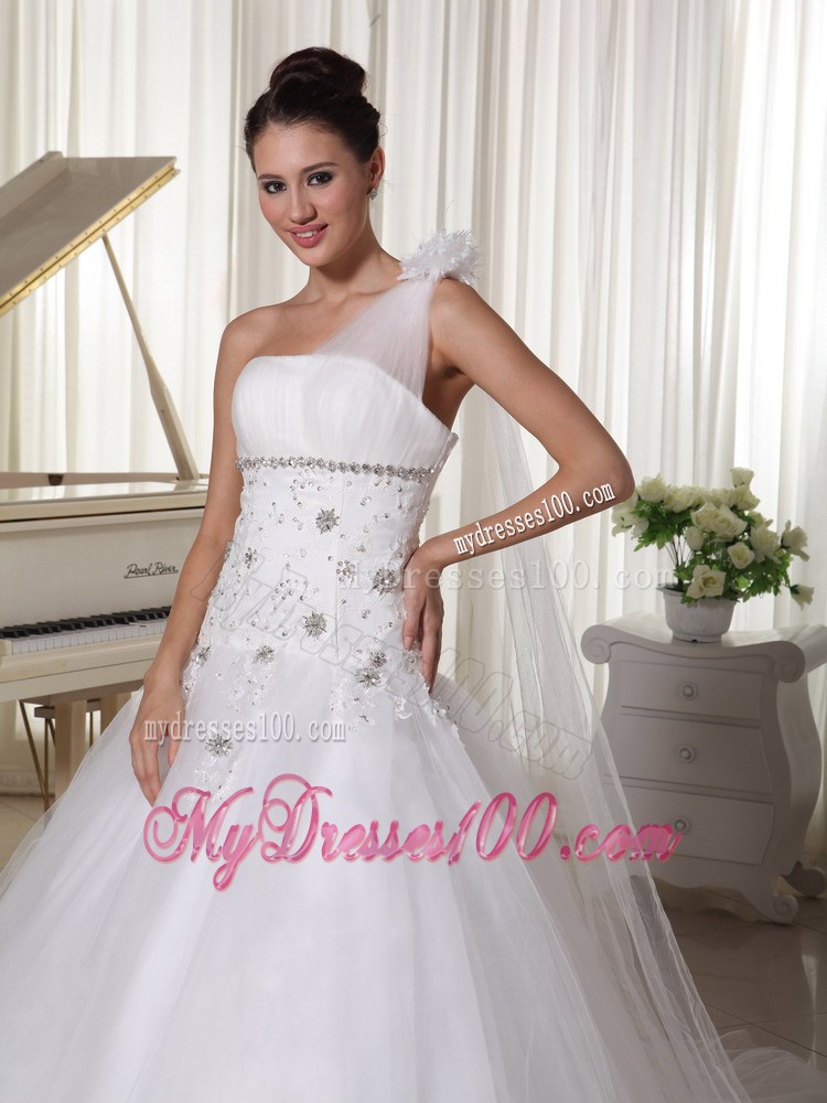 One Shoulder Princess Wedding Dresses with Appliques and Watteau Train
