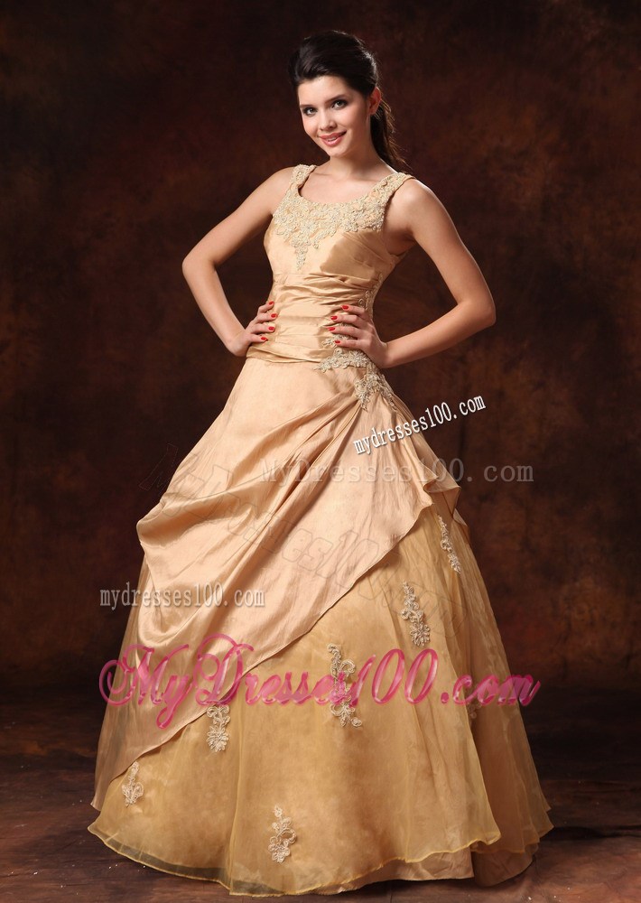Wide Straps Ruching Appliques and Pick-ups Wedding Dresses in Champagne