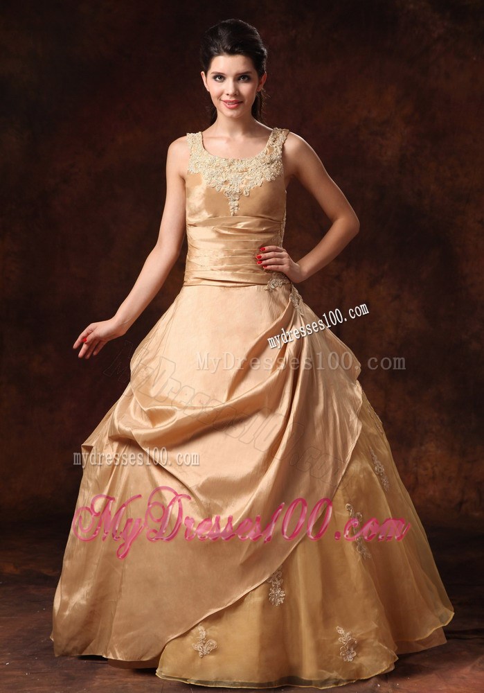 Wide Straps Ruching Appliques and Pick-ups Wedding Dresses in Champagne