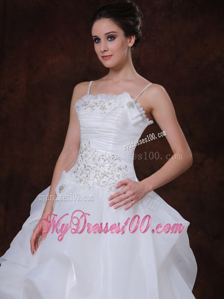 Appliqued A-line Court Train Wedding Gown with Pick-ups and Straps