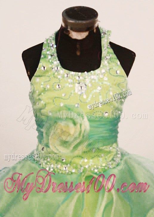 Cheap Ball Gown Yellow Green Little Girl Pageant Dress Halter Floor-Length Organza In 2013