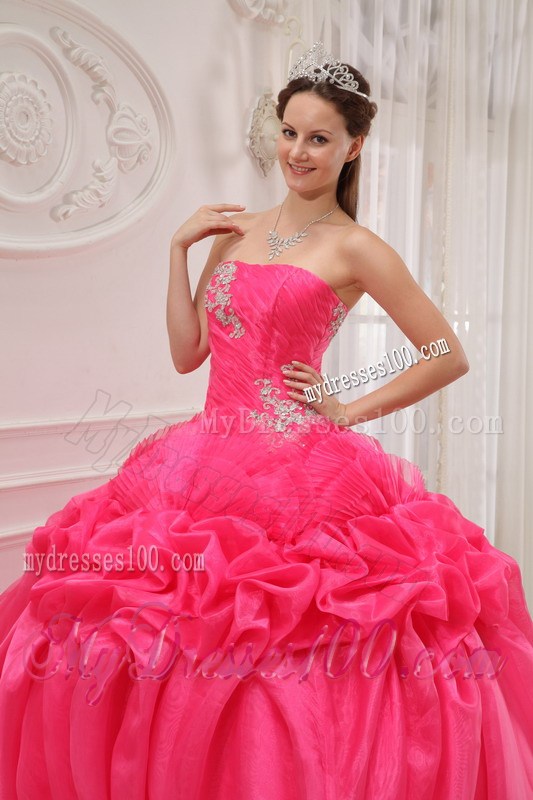 Hot Pink Organza Qinceanera Dress with Pick-ups and White Back