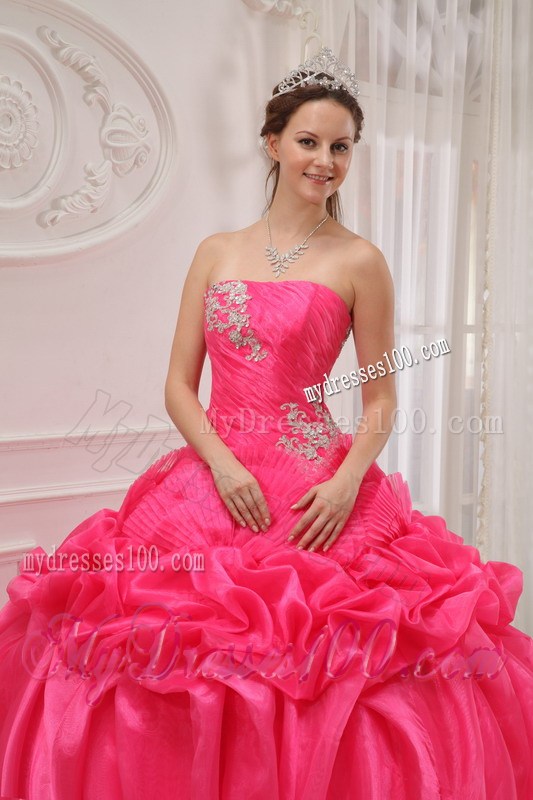 Hot Pink Organza Qinceanera Dress with Pick-ups and White Back