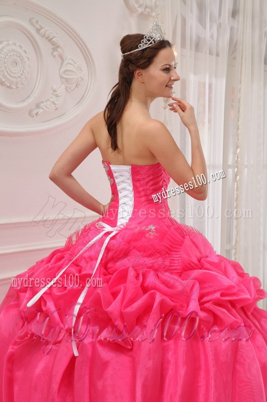 Hot Pink Organza Qinceanera Dress with Pick-ups and White Back