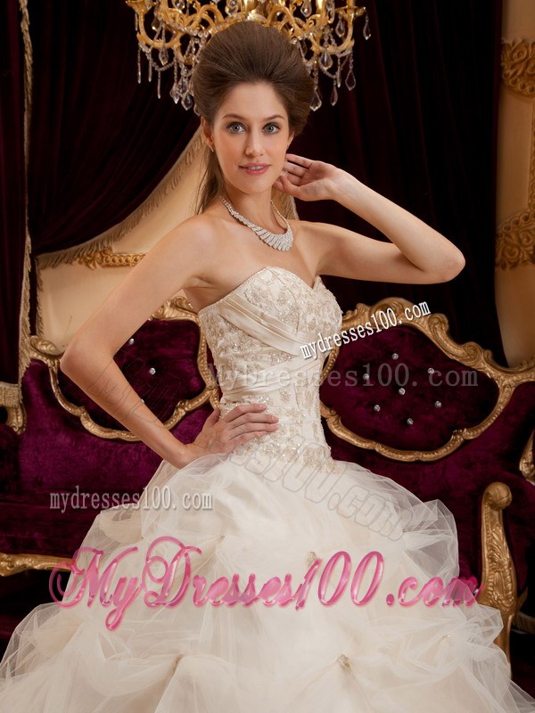 Ivory Satin and Organza Ball Gown Quince Dress with Embroidery