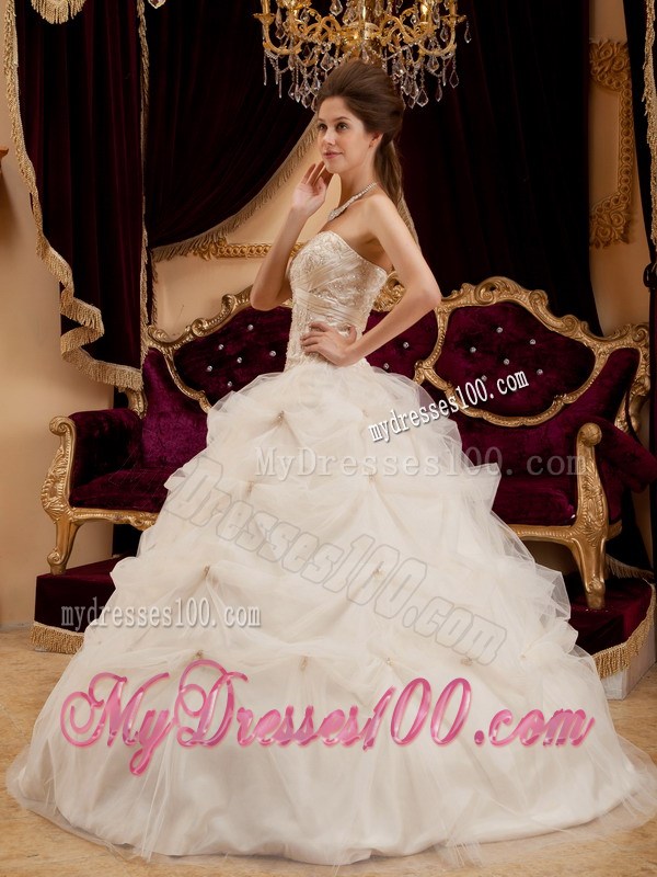 Ivory Satin and Organza Ball Gown Quince Dress with Embroidery