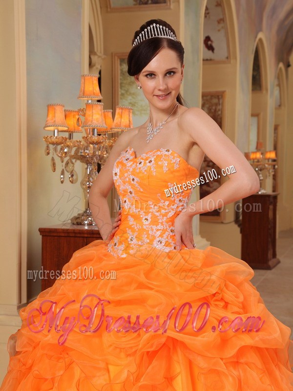 Puffy Ball Gown Ruched Dresses for Quince with Appliques