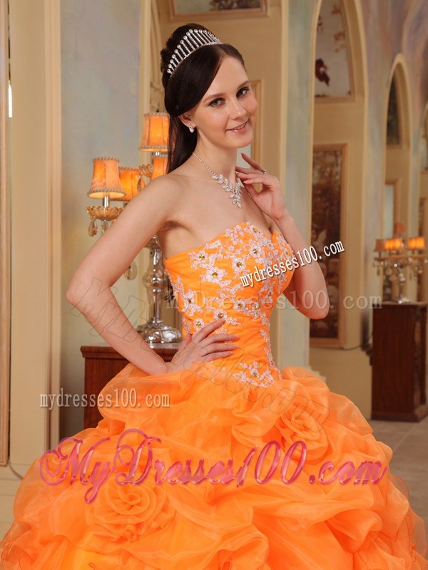 Puffy Ball Gown Ruched Dresses for Quince with Appliques