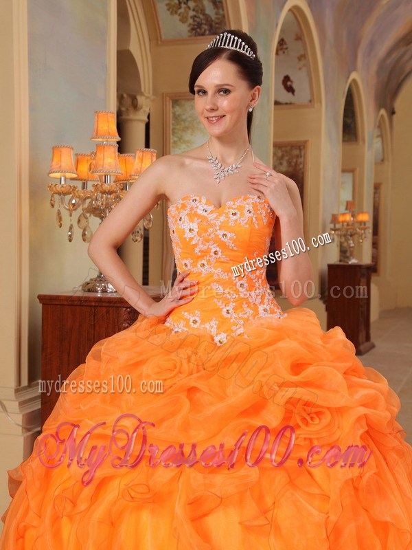 Puffy Ball Gown Ruched Dresses for Quince with Appliques