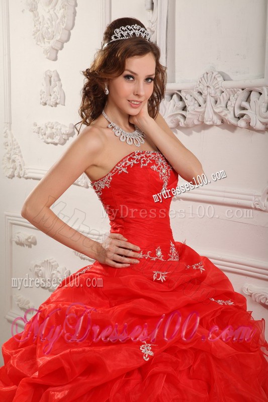 Pretty Embroidery Lace-up Bodice and Puffy Organza Quince Dresses