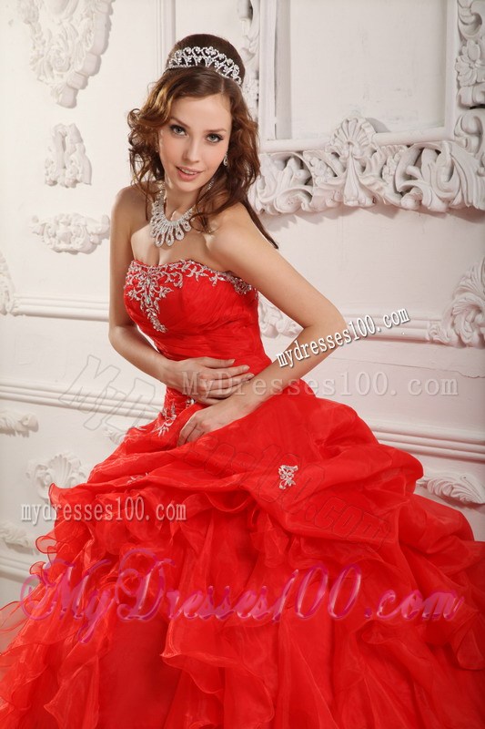 Pretty Embroidery Lace-up Bodice and Puffy Organza Quince Dresses