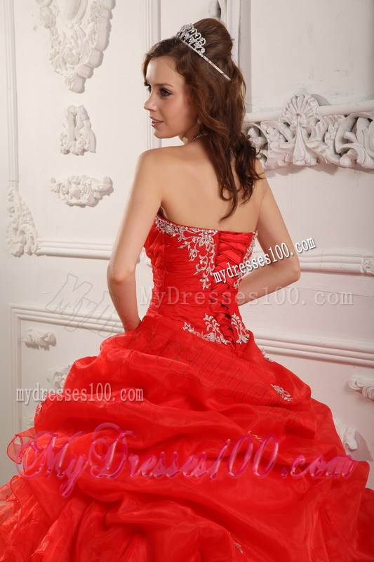Pretty Embroidery Lace-up Bodice and Puffy Organza Quince Dresses