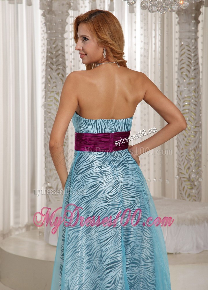 Custom Made Zebra Sweetheart Long Maxi Dresses With Aqua Blue