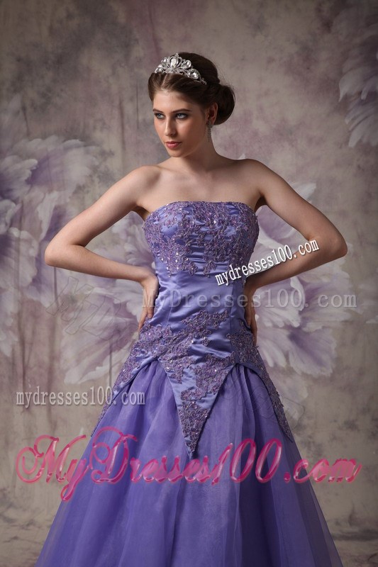 Elegant Purple A-line Strapless Prom / Evening Dress with Appliques