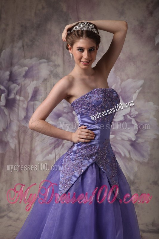 Elegant Purple A-line Strapless Prom / Evening Dress with Appliques