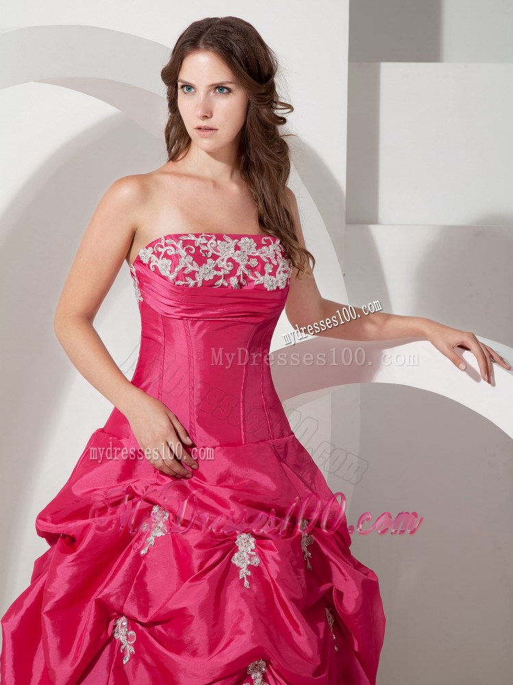 Appliques and Pick-ups Floor-length Hot Pink Evening Dress