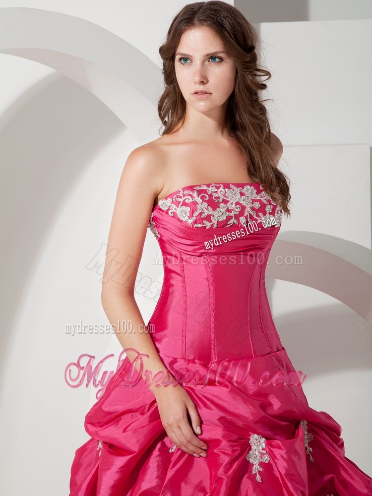 Appliques and Pick-ups Floor-length Hot Pink Evening Dress