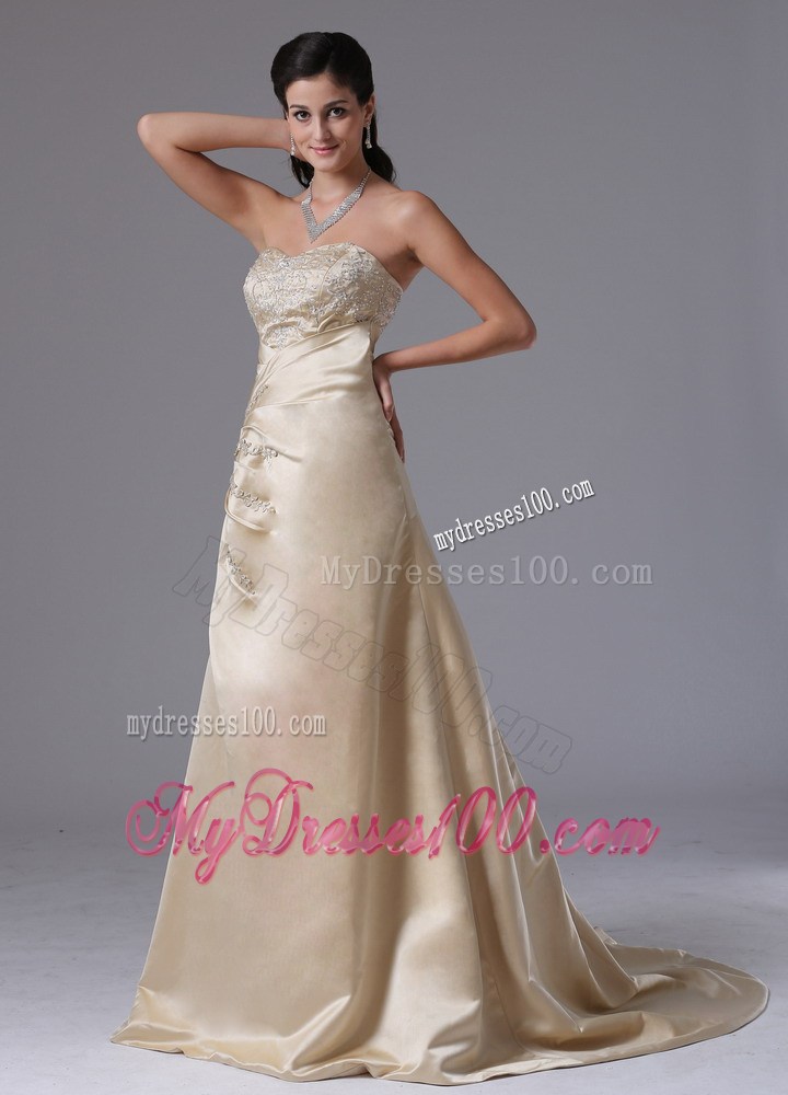 Champagne Appliques Decorate Stylish Evening Dress