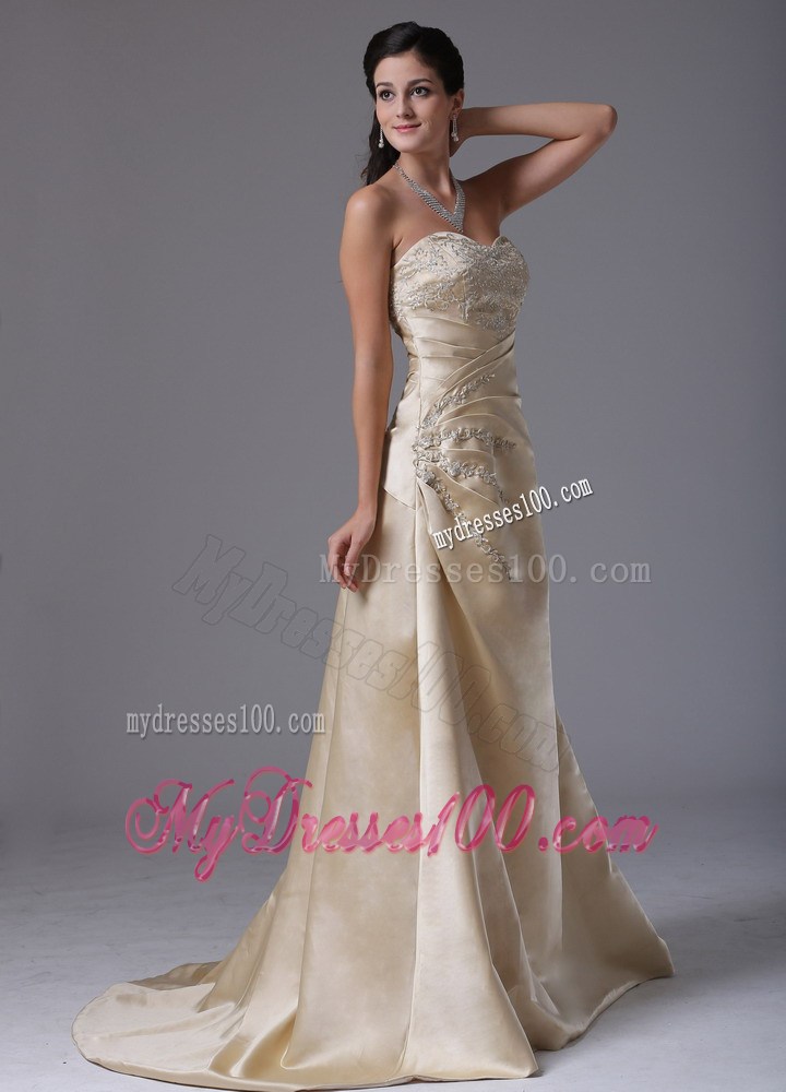 Champagne Appliques Decorate Stylish Evening Dress