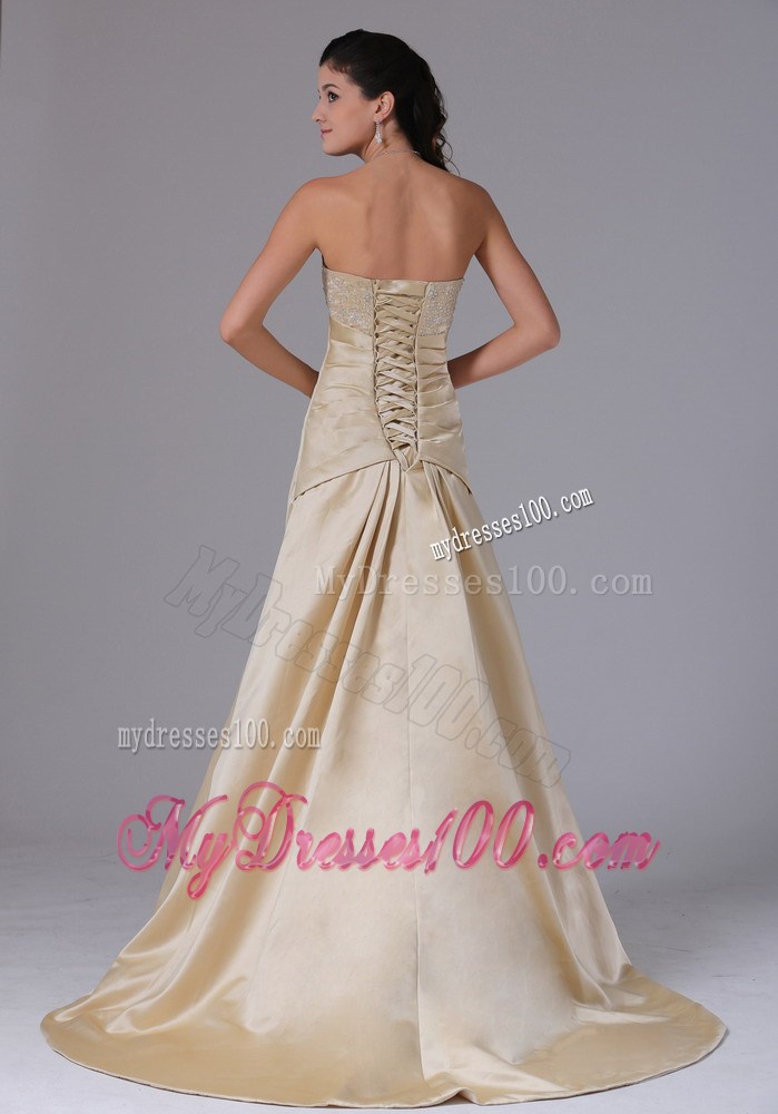 Champagne Appliques Decorate Stylish Evening Dress