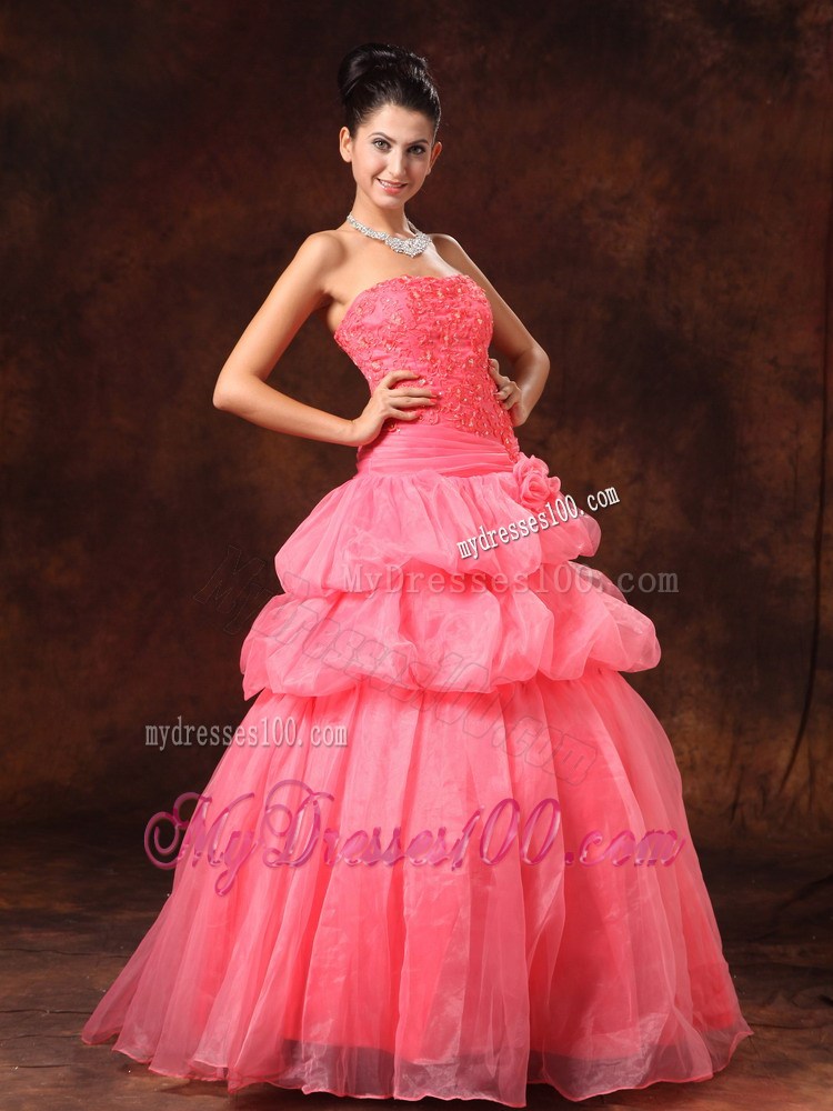 Watermelon Hand Flowers And Appliques Evening Dress