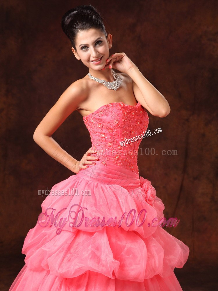 Watermelon Hand Flowers And Appliques Evening Dress