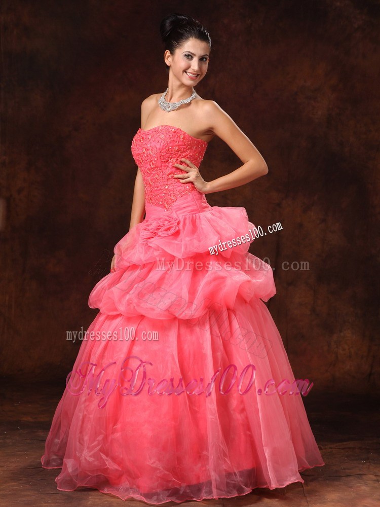 Watermelon Hand Flowers And Appliques Evening Dress