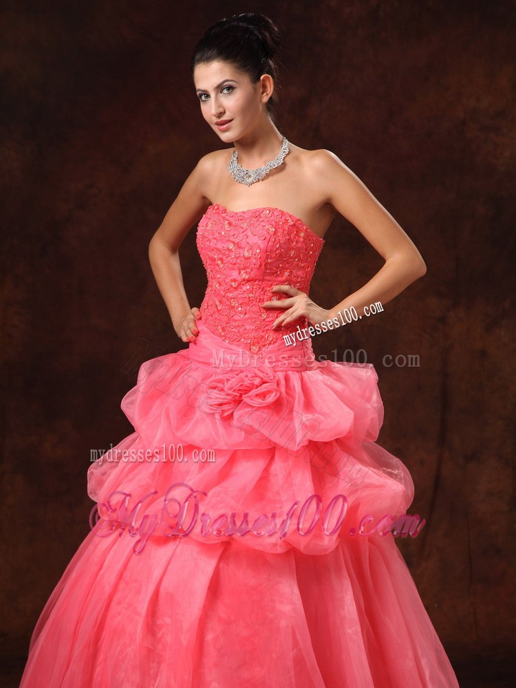 Watermelon Hand Flowers And Appliques Evening Dress