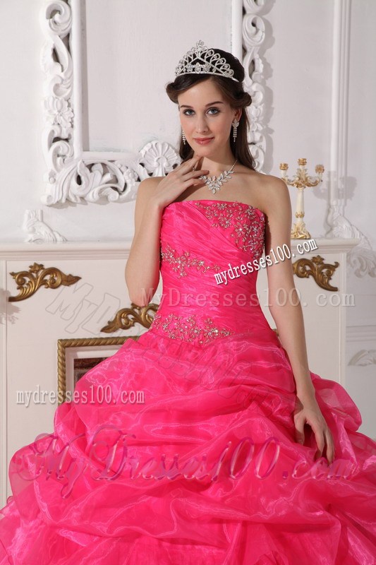 Organza Hot Pink Strapless Appliques Sweet Sixteen Dresses Bowknot Back