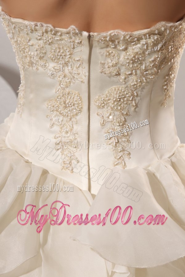 Ball Gown Strapless Appliques and Hand Made Flowers Wedding Dress