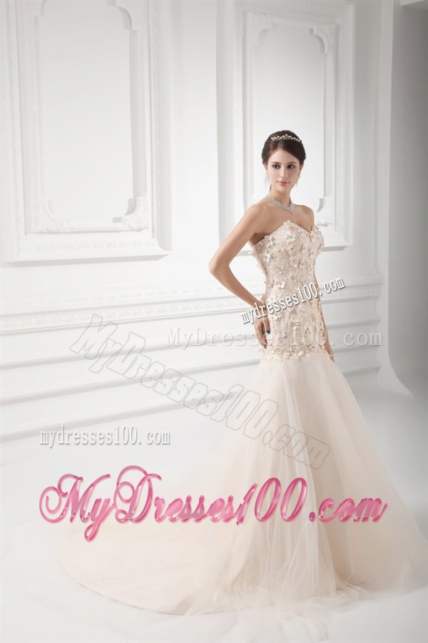 Champagne A-line Sweetheart Court Train Wedding Dress with Appliques