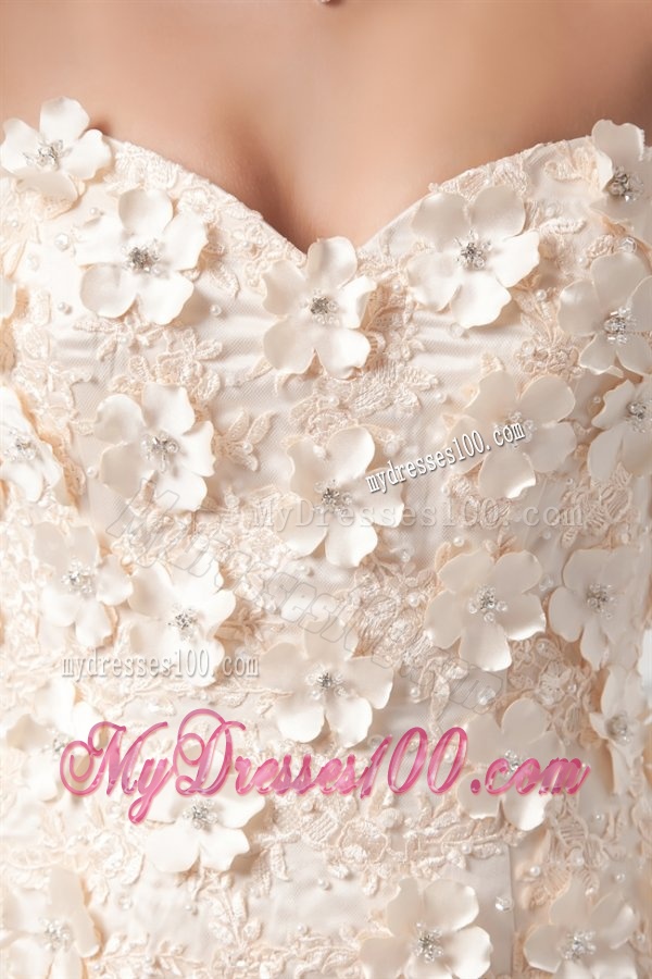 Champagne A-line Sweetheart Court Train Wedding Dress with Appliques