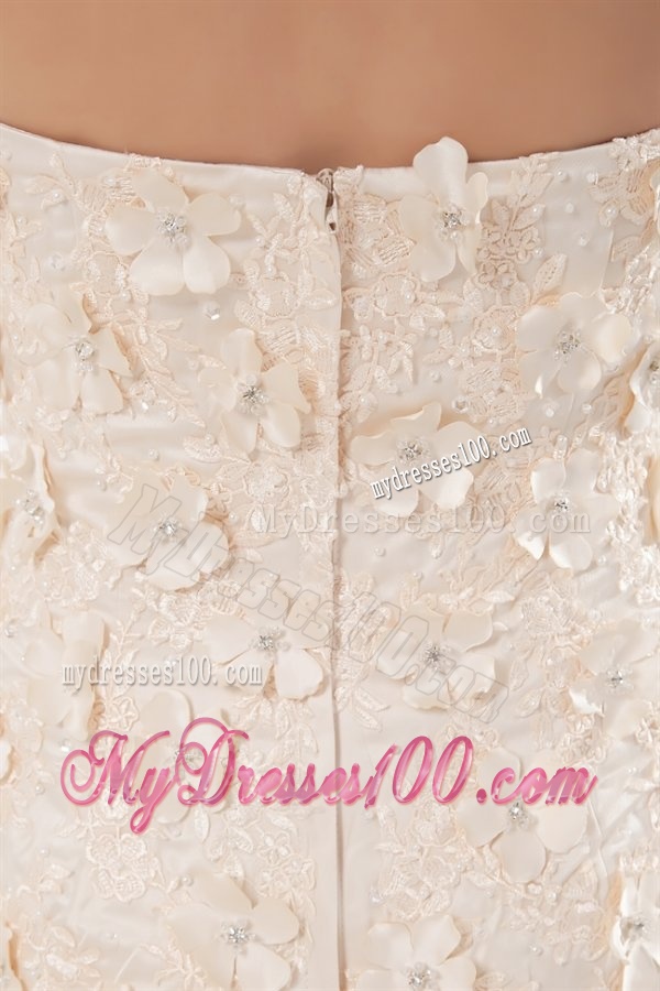 Champagne A-line Sweetheart Court Train Wedding Dress with Appliques
