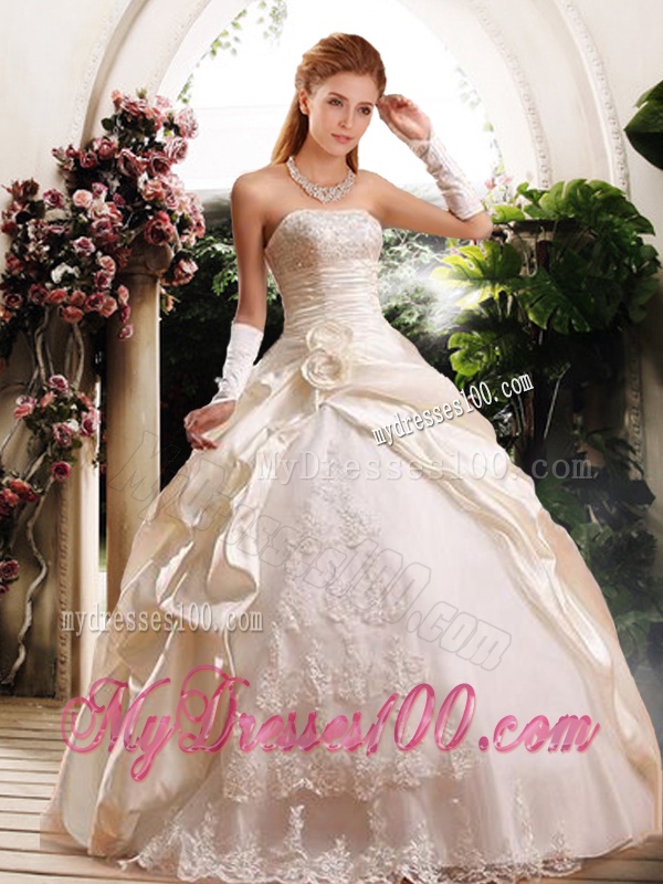 Fashionable Ball Gown Strapless Wedding Dresses with Appliques