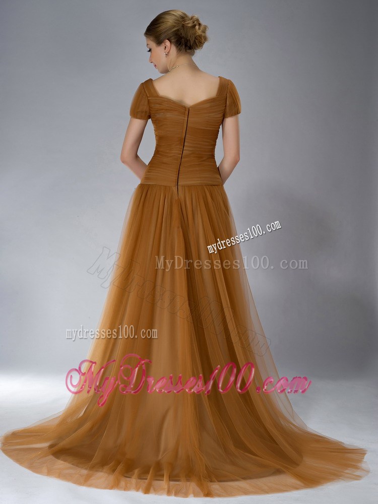 Brown Empire Square Brush Train Tulle Appliques Mother Dress
