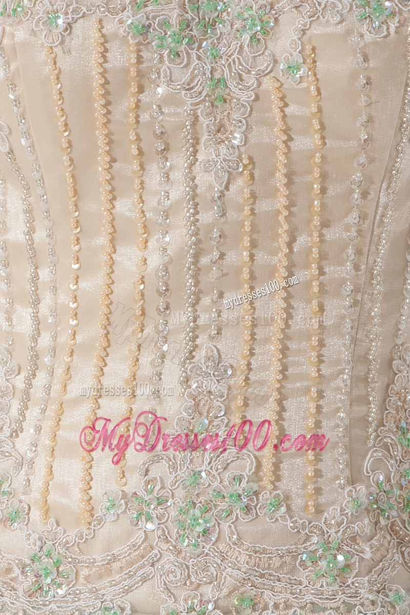 Champagne and Apple Green Mini Prom Gowns with Layered Organza and Appliques