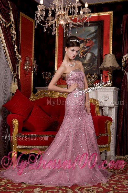 Brush Train and Beading Zipper-up Back Prom Dress in Light Pink