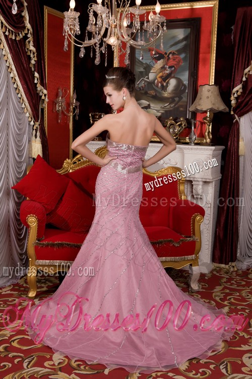 Brush Train and Beading Zipper-up Back Prom Dress in Light Pink