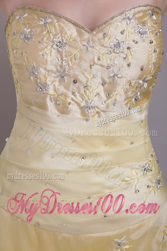 Embroidered Strapless Floor-length Champagne Prom Dresses with Criss-cross