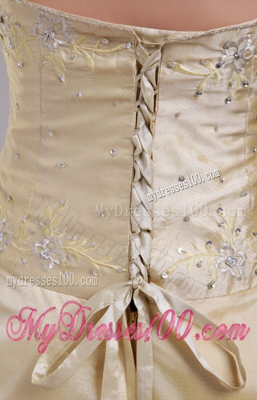 Embroidered Strapless Floor-length Champagne Prom Dresses with Criss-cross