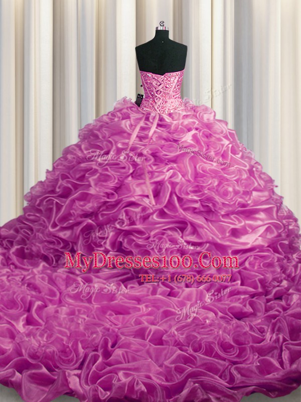 Organza Sleeveless With Train Quinceanera Dresses Court Train and Beading and Pick Ups