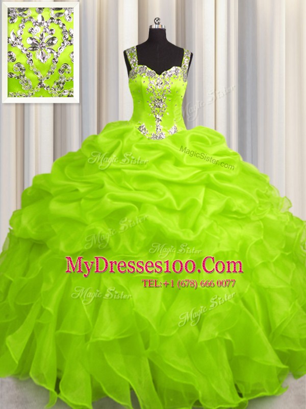 See Through Zipper Up Organza Sleeveless Floor Length Vestidos de Quinceanera and Appliques and Ruffles