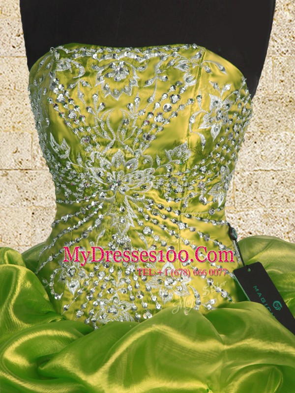 Sleeveless Organza Floor Length Lace Up Quinceanera Gown in Olive Green with Beading and Embroidery