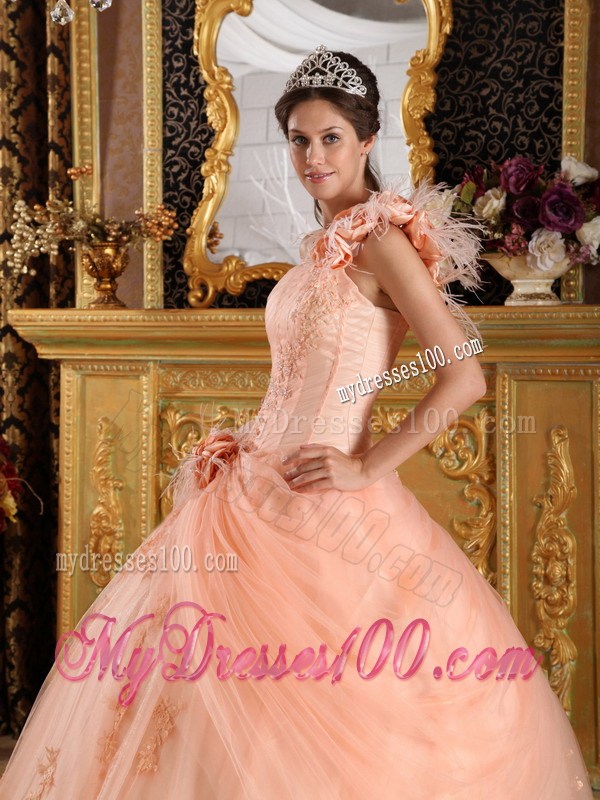 Hand Made Flowers Quinceanera Dresses with Appliques and Tulle Pick-ups