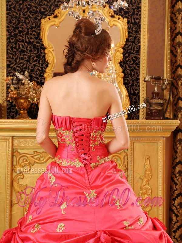 Handle Flowers Sweet 16 Dresses Decorated with Appliques and Lace Edge