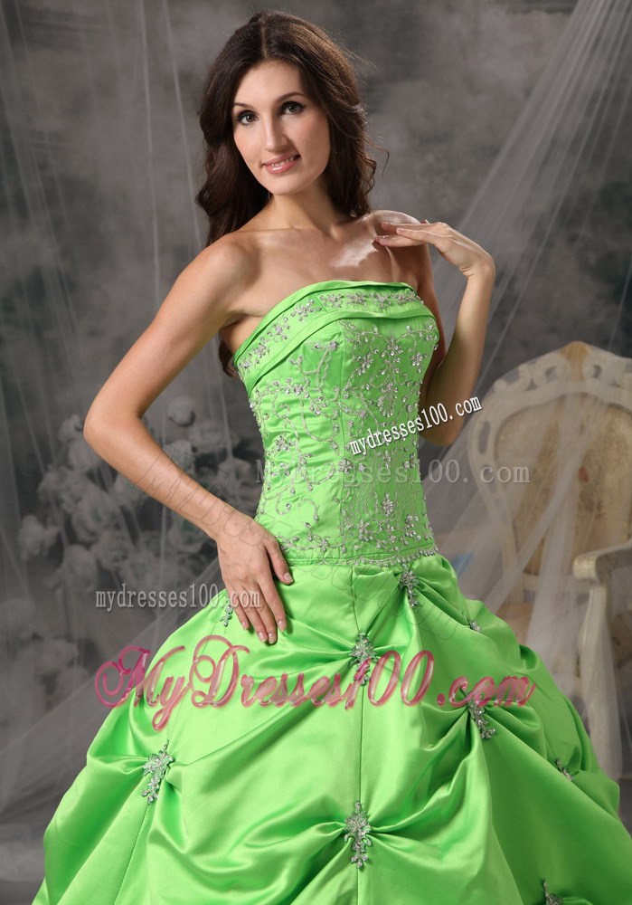 Green Nice Zipper-up Back Sweet 16 Dresses with Pick-ups and Appliques