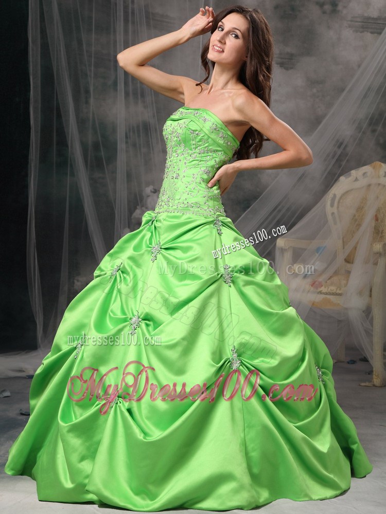Green Nice Zipper-up Back Sweet 16 Dresses with Pick-ups and Appliques