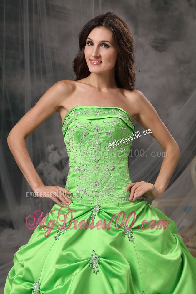 Green Nice Zipper-up Back Sweet 16 Dresses with Pick-ups and Appliques