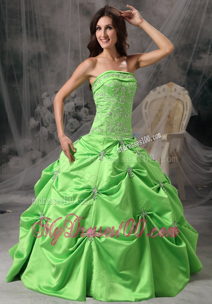 Green Nice Zipper-up Back Sweet 16 Dresses with Pick-ups and Appliques